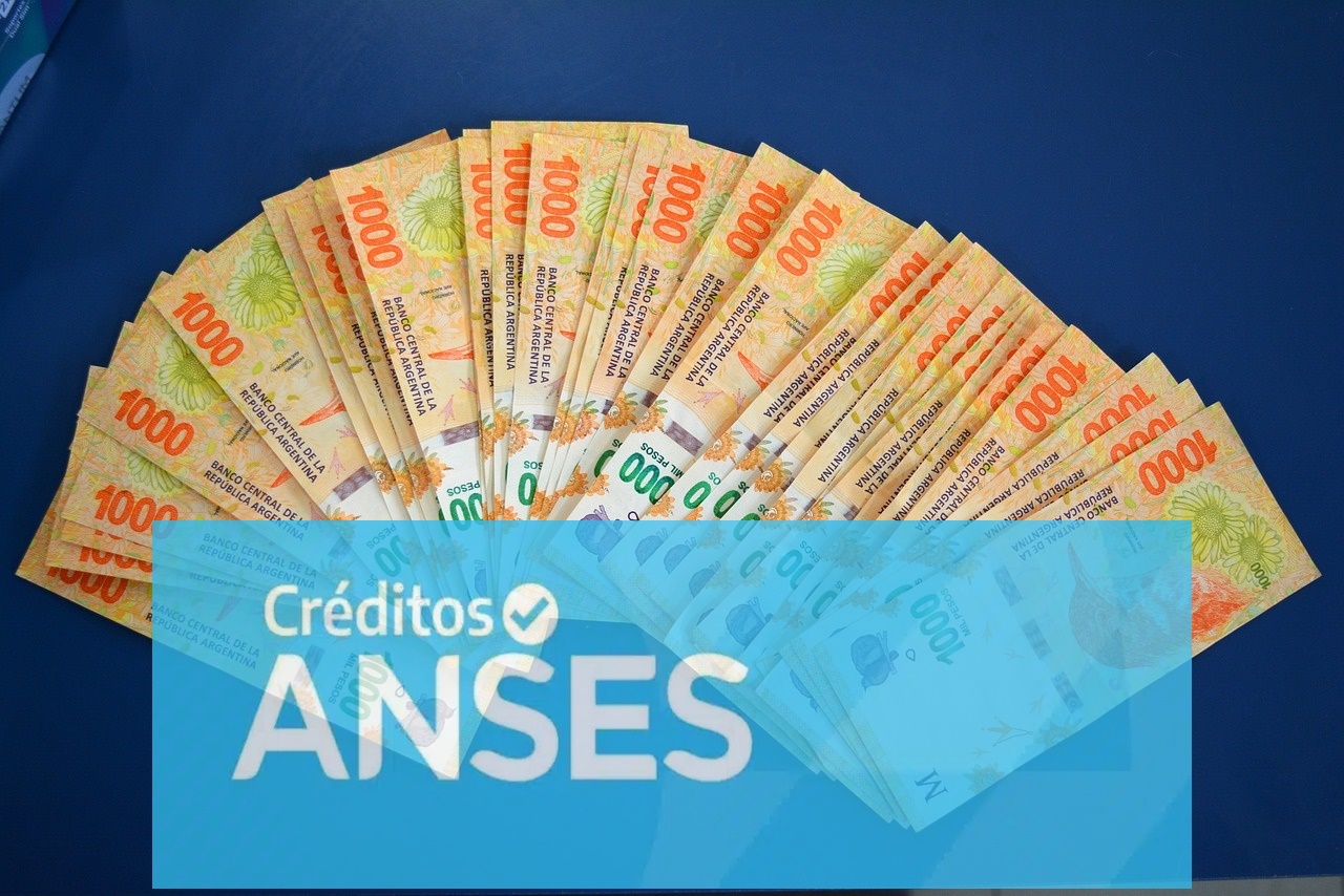 mi anses creditos